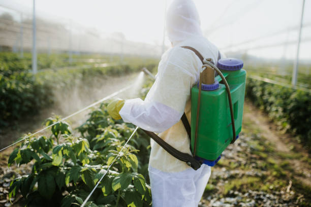 Best Insect Control  in Clear Lake, IA